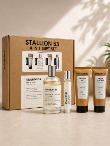 SET 4 IN 1 STALLION 53